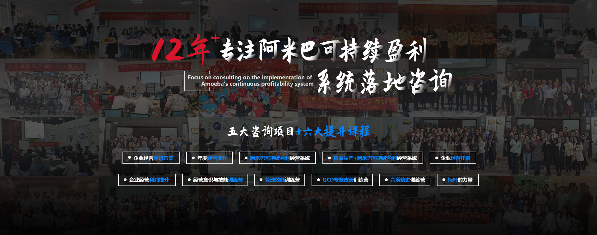 12年+專(zhuān)注阿米巴可持續(xù)盈利系統(tǒng)落地咨詢(xún)